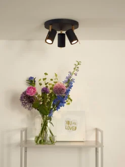 Grony 3 spotlight