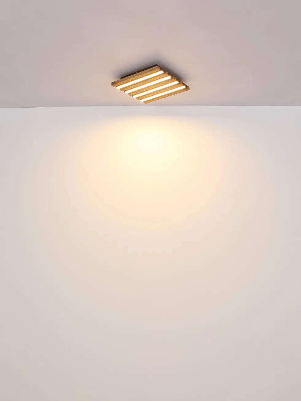 Hayden 30cm plafond