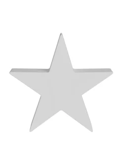 Ichiban Ø48