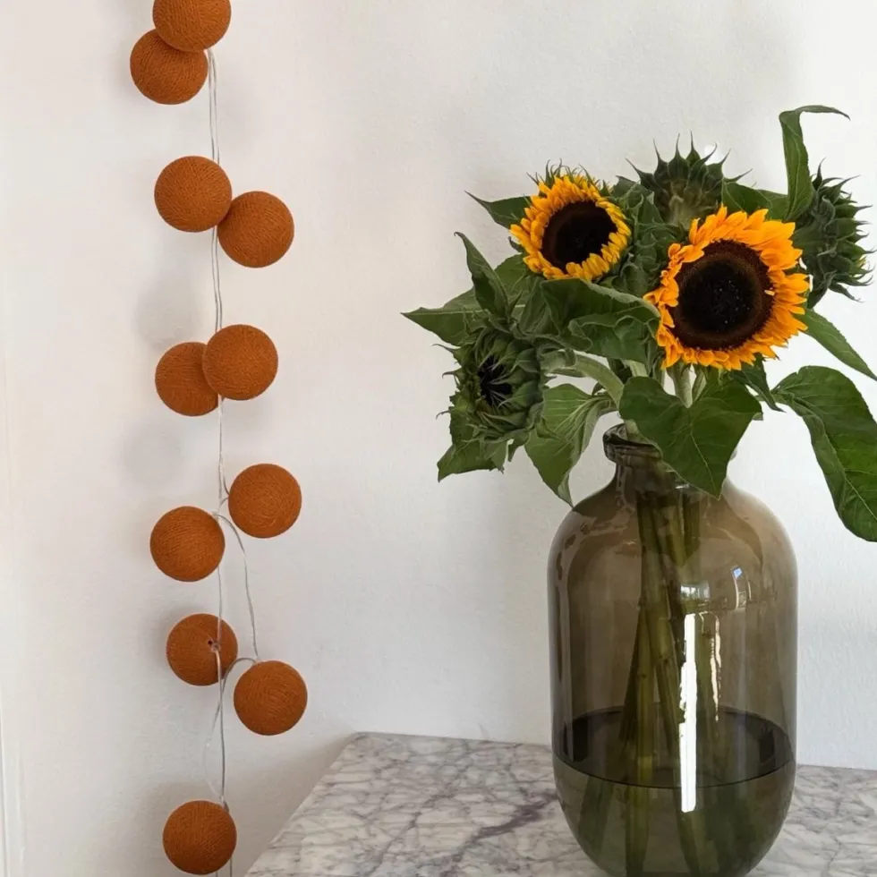 Irislights Terracotta 20 bollar