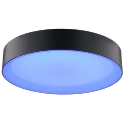 Larios Ø40 plafond