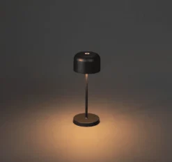 Lille 20cm portabel