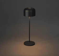 Lille 36cm portabel