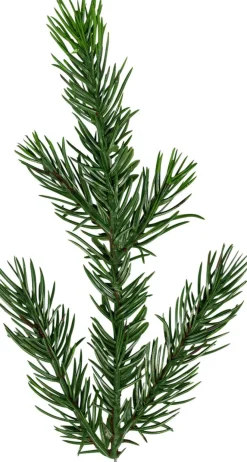 Malung 200cm