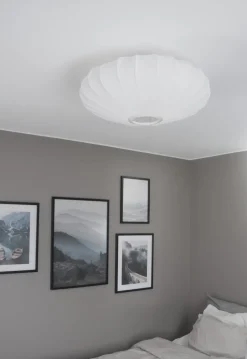 Mamsell Ø55 plafond