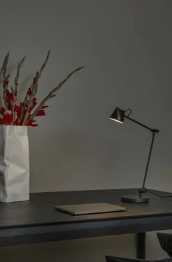 Milne 42cm skrivbordslampa