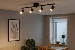 Omega 4 spotlight