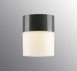 Opus 100/125 badrumslampa