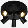 Pilot 5 spotlight