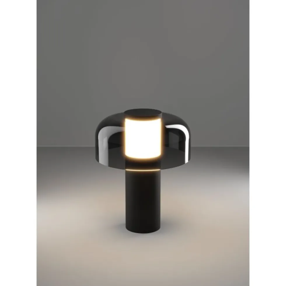 Ponente 20cm portabel