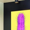 Punch spotlight