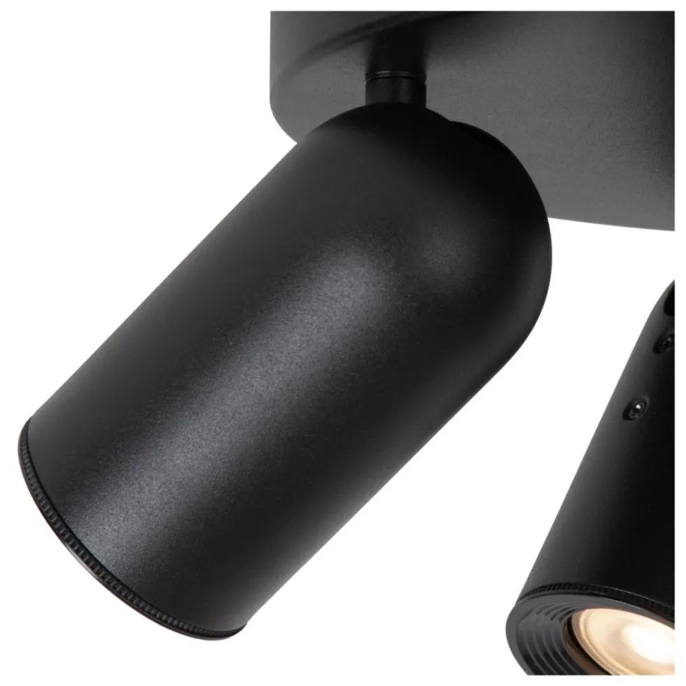 Punch 3 spotlight