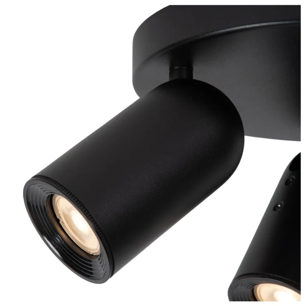 Punch 3 spotlight