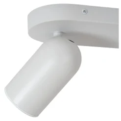 Punch 2 spotlight
