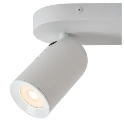 Punch 2 spotlight