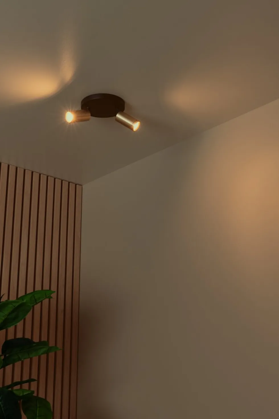 Ritmo 2 spotlight