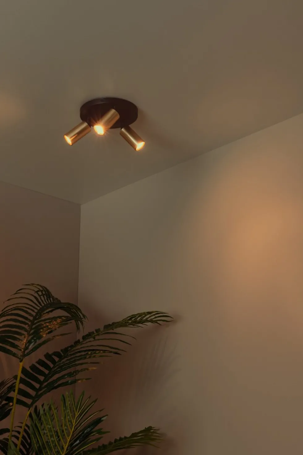 Ritmo 3 spotlight
