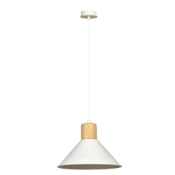 Rowen Ø25 taklampa