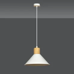 Rowen Ø25 taklampa