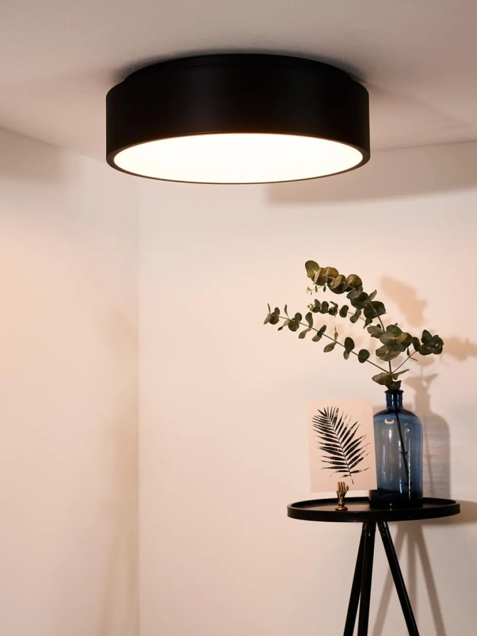 Talowe Led Ø45 plafond