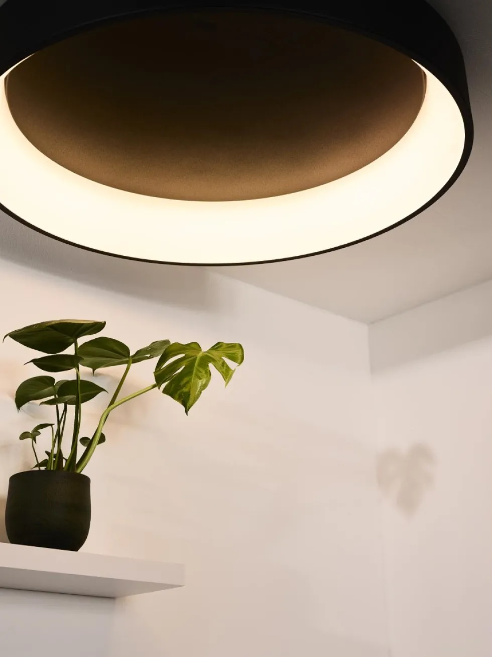 Talowe Led Ø80 plafond
