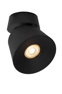 Trigono spotlight