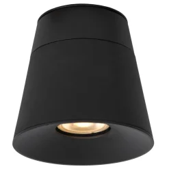 Trigono spotlight