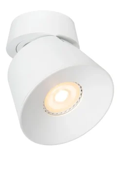 Trigono spotlight