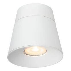Trigono spotlight