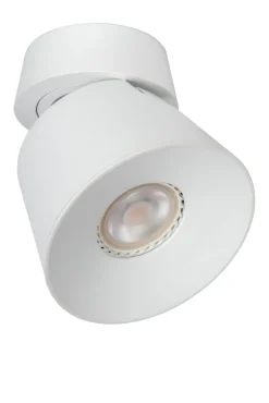 Trigono spotlight