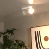 Trigono 2 spotlight