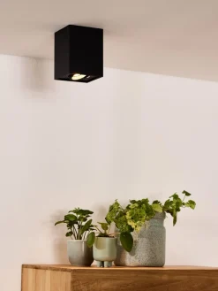 Tube spotlight