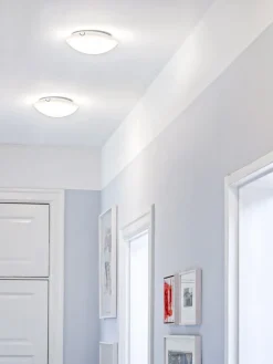 Viggen Ø30 plafond