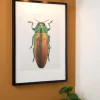 Vinz 36cm