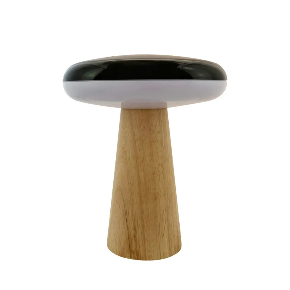 2 Ways 25cm portabel