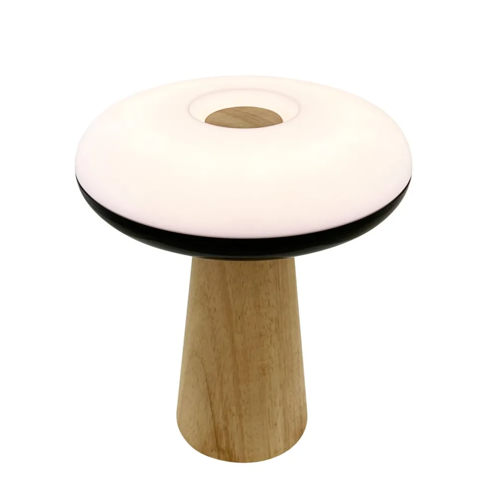 2 Ways 25cm portabel