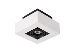 Xirax spotlight