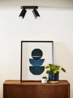 Xyrus 2 spotlight
