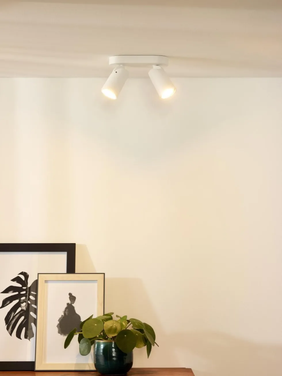 Xyrus 2 spotlight