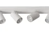 Xyrus 4 spotlight