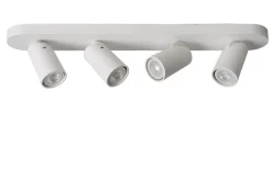 Xyrus 4 spotlight