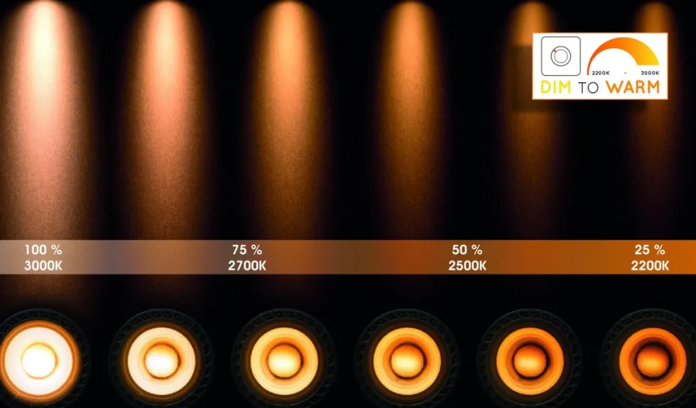 Xyrus 4 spotlight