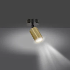 Zen spotlight