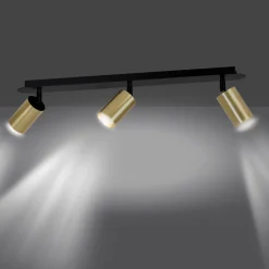 Zen 3 spotlight