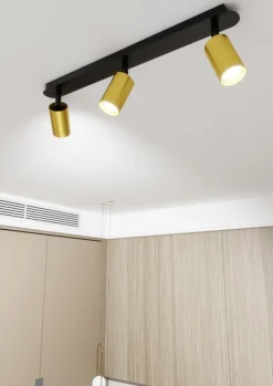 Zen 3 spotlight